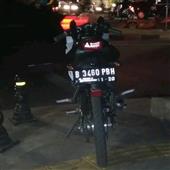 Đấu bò