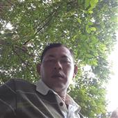 Best a