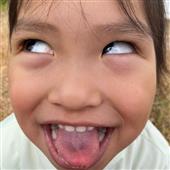Săn tì