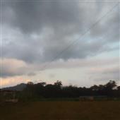 Siêu m