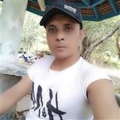 Check 