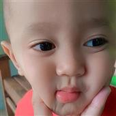 Phượng