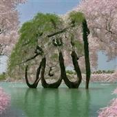 Lịch t