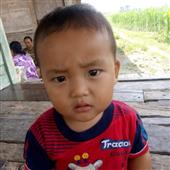 Đánh t