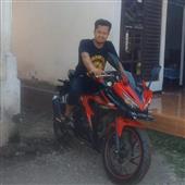 Trực t