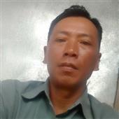 Liên M